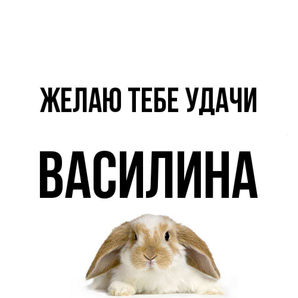 Открытка на каждый день с именем, Василина Желаю тебе удачи открытки с произвольным текстом который можно вставить в открытку и создать ее самостоятельно бесплатно онлайн Прикольная открытка с пожеланием онлайн скачать бесплатно 