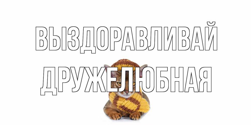 Открытка на каждый день с именем, Дружелюбная Выздоравливай родные не болейте Прикольная открытка с пожеланием онлайн скачать бесплатно 