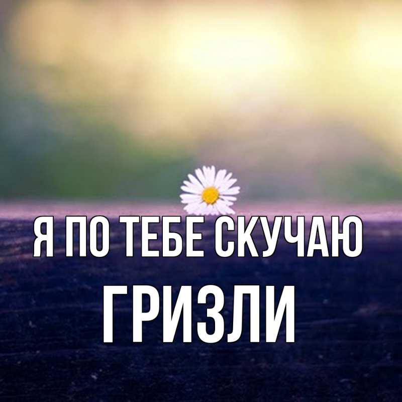 Картинка Я по тебе скучаю, Гризли