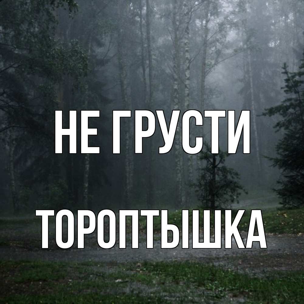 Открытка на каждый день с именем, Тороптышка Не грусти осень Прикольная открытка с пожеланием онлайн скачать бесплатно 
