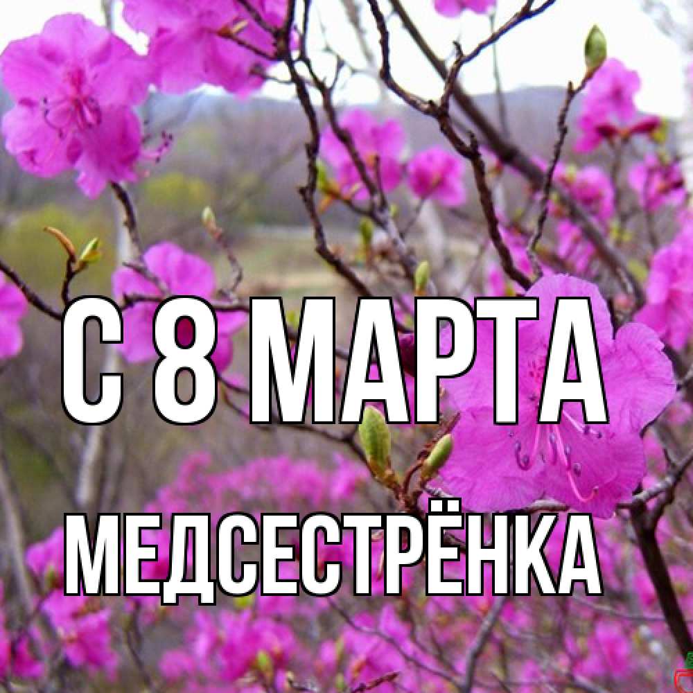 Открытка на каждый день с именем, Медсестрёнка C 8 МАРТА международный женский день Прикольная открытка с пожеланием онлайн скачать бесплатно 