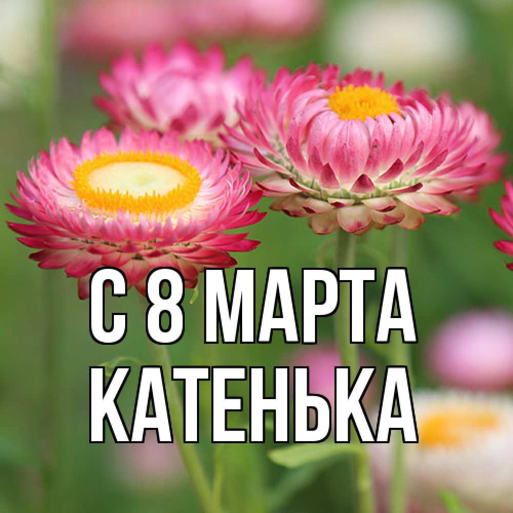 Открытка на каждый день с именем, Катенька C 8 МАРТА подарок на международный женский день Прикольная открытка с пожеланием онлайн скачать бесплатно 