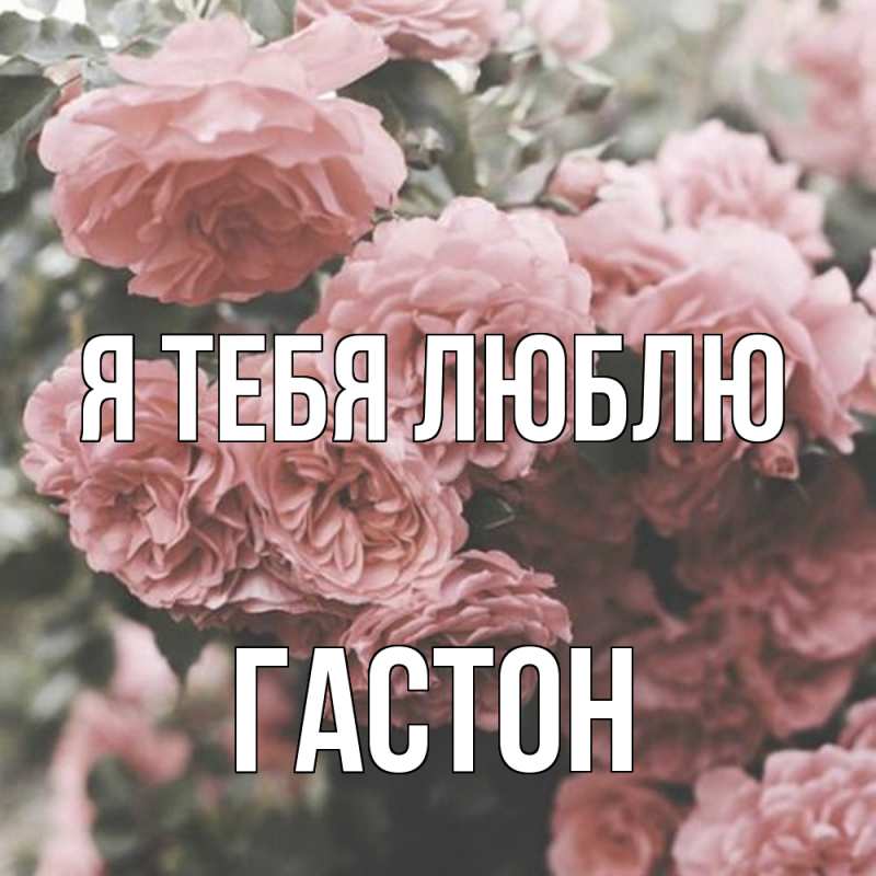 Картинка Я тебя люблю, Гастон