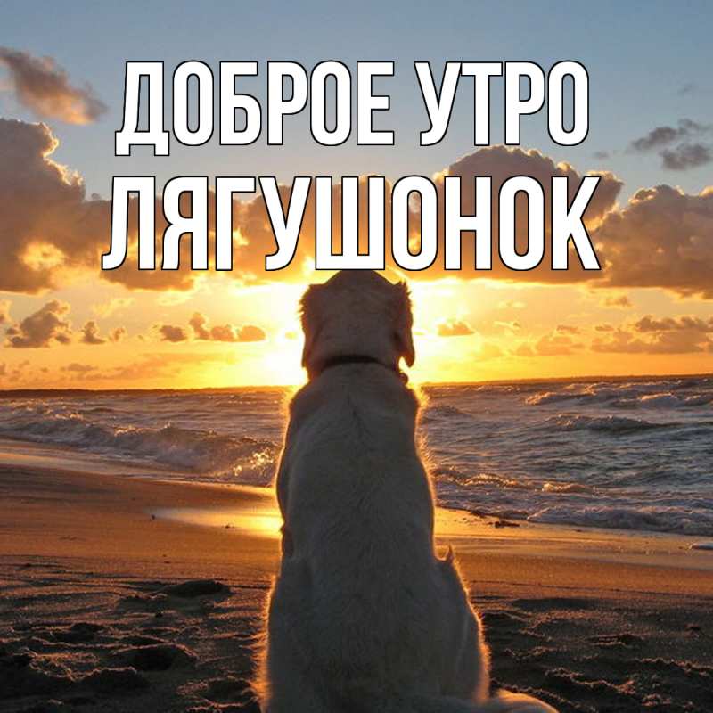 Картинка Доброе утро, лягушонок