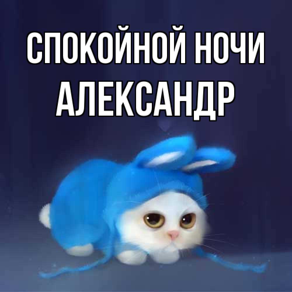 Открытка на каждый день с именем, Александр Спокойной ночи кот в голубом костюме кролика с ушками Прикольная открытка с пожеланием онлайн скачать бесплатно 