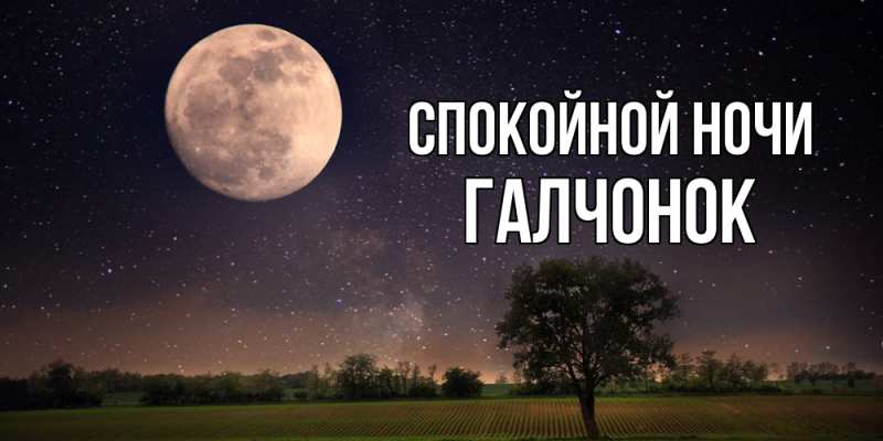 Картинка Спокойной ночи, галчонок