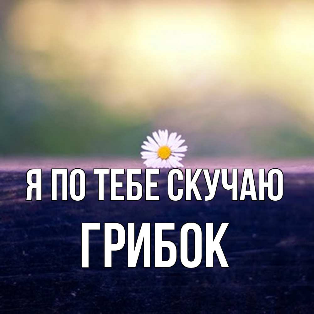 Открытка на каждый день с именем, Грибок Я по тебе скучаю приходи в гости Прикольная открытка с пожеланием онлайн скачать бесплатно 