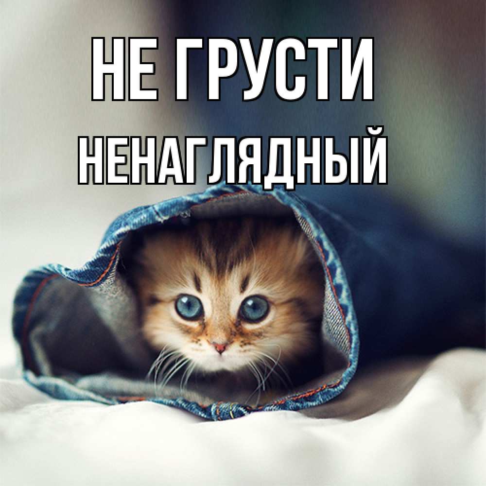 Открытка на каждый день с именем, Ненаглядный Не грусти рыжик котик Прикольная открытка с пожеланием онлайн скачать бесплатно 