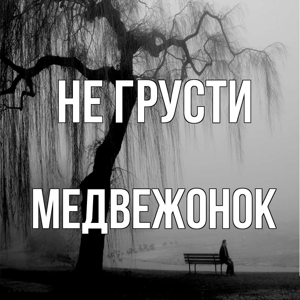 Открытка на каждый день с именем, медвежонок Не грусти висящие ветки дерева и лавочка под деревом Прикольная открытка с пожеланием онлайн скачать бесплатно 