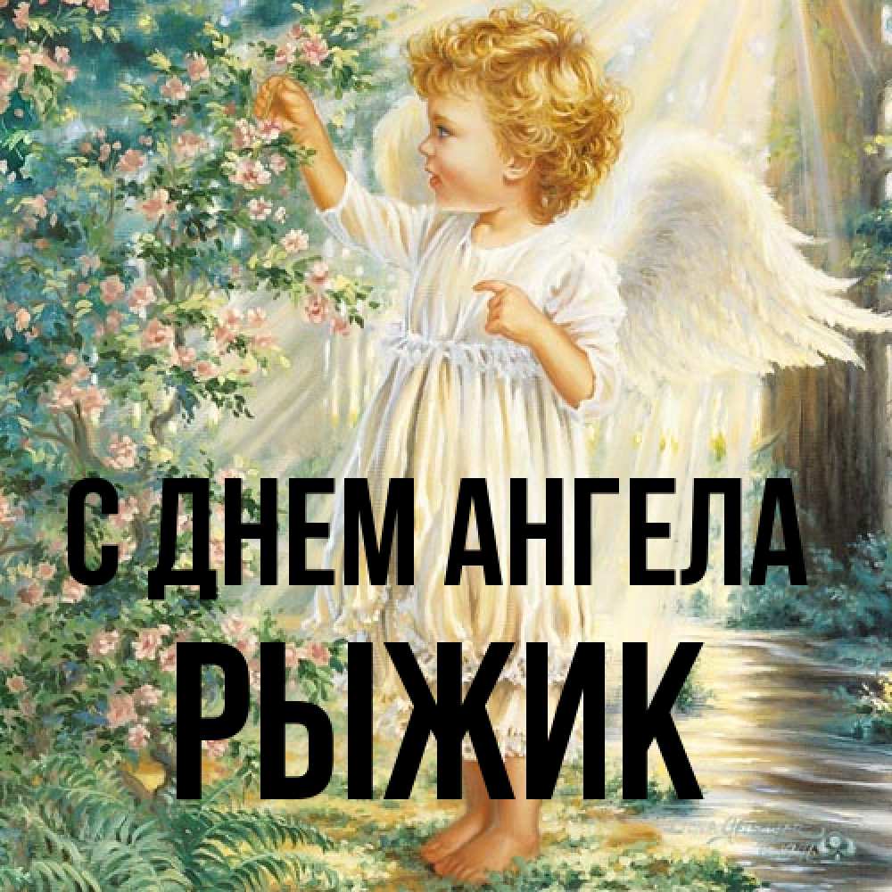 Открытка на каждый день с именем, рыжик С днем ангела собирает цветы Прикольная открытка с пожеланием онлайн скачать бесплатно 