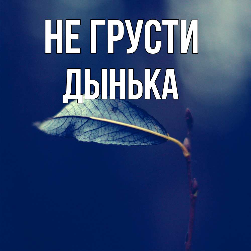 Открытка на каждый день с именем, Дынька Не грусти растение Прикольная открытка с пожеланием онлайн скачать бесплатно 