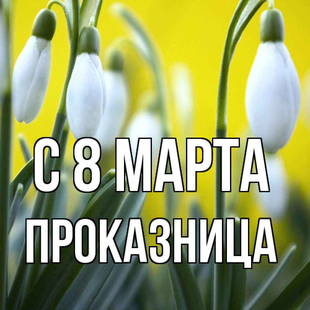 Открытка на каждый день с именем, Проказница C 8 МАРТА весенние цветы Прикольная открытка с пожеланием онлайн скачать бесплатно 