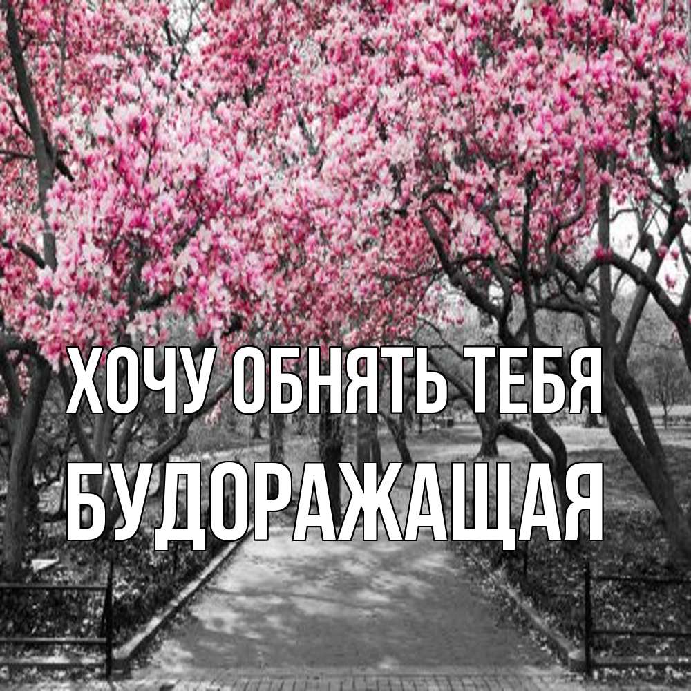 Открытка на каждый день с именем, будоражащая Хочу обнять тебя обработанное фото Прикольная открытка с пожеланием онлайн скачать бесплатно 