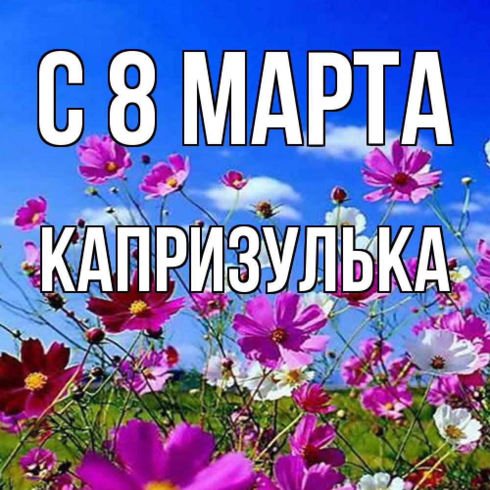 Открытка на каждый день с именем, капризулька C 8 МАРТА цветы Прикольная открытка с пожеланием онлайн скачать бесплатно 