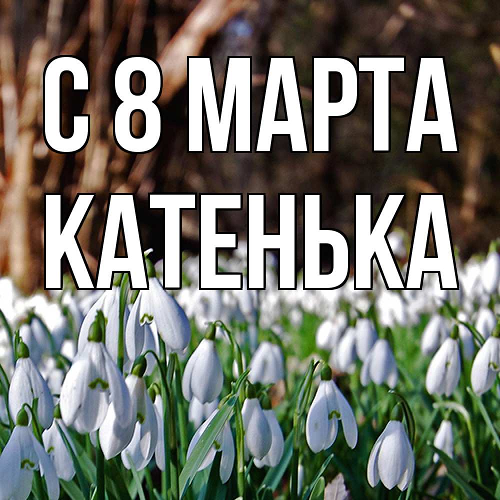 Открытка на каждый день с именем, Катенька C 8 МАРТА с подснежниками 1 Прикольная открытка с пожеланием онлайн скачать бесплатно 