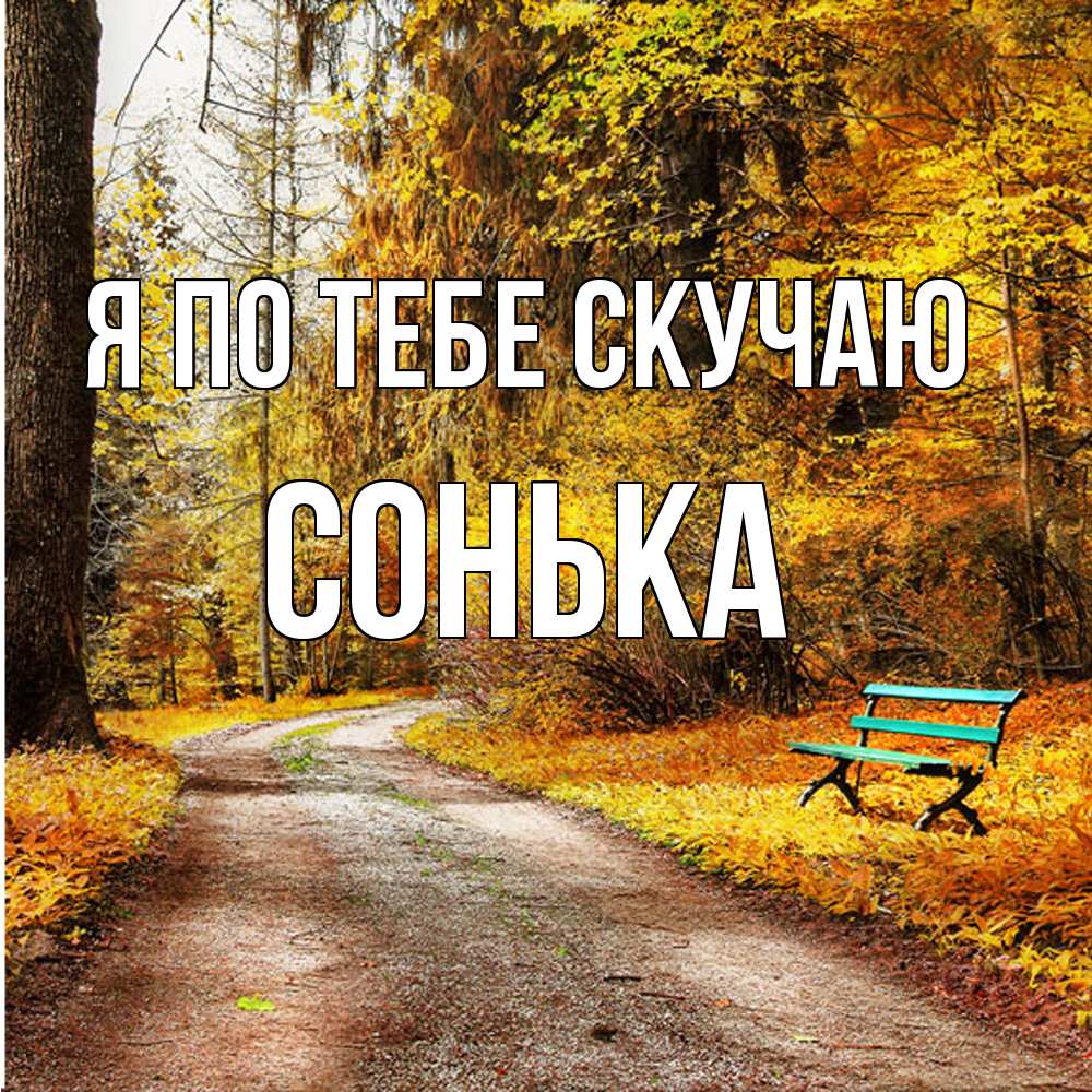 Открытка на каждый день с именем, Сонька Я по тебе скучаю зеленая лавочка и осенний лес Прикольная открытка с пожеланием онлайн скачать бесплатно 