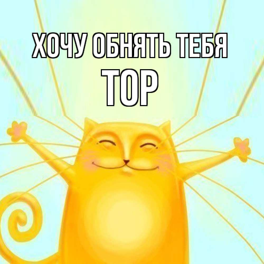 Открытка на каждый день с именем, Тор Хочу обнять тебя солнечный обнимашечный кот Прикольная открытка с пожеланием онлайн скачать бесплатно 