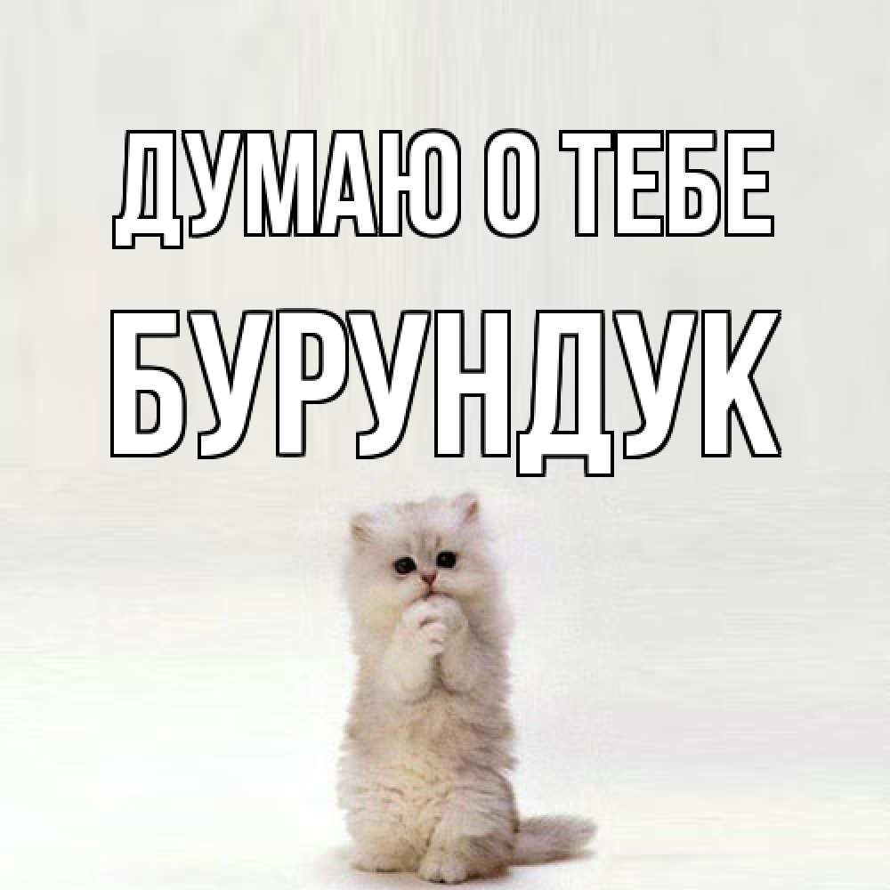 Открытка на каждый день с именем, Бурундук Думаю о тебе кот стоит на задних лапах Прикольная открытка с пожеланием онлайн скачать бесплатно 