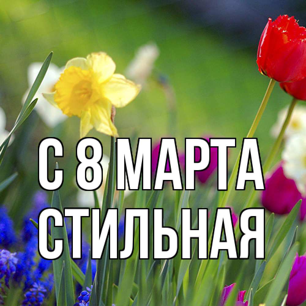 Открытка на каждый день с именем, Стильная C 8 МАРТА международный женский день 3 Прикольная открытка с пожеланием онлайн скачать бесплатно 