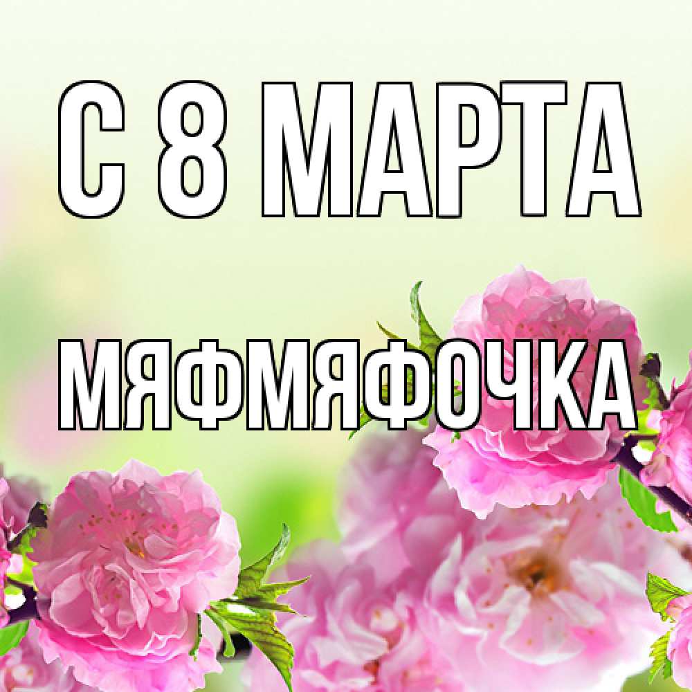 Открытка на каждый день с именем, мяфмяфочка C 8 МАРТА цветы Прикольная открытка с пожеланием онлайн скачать бесплатно 