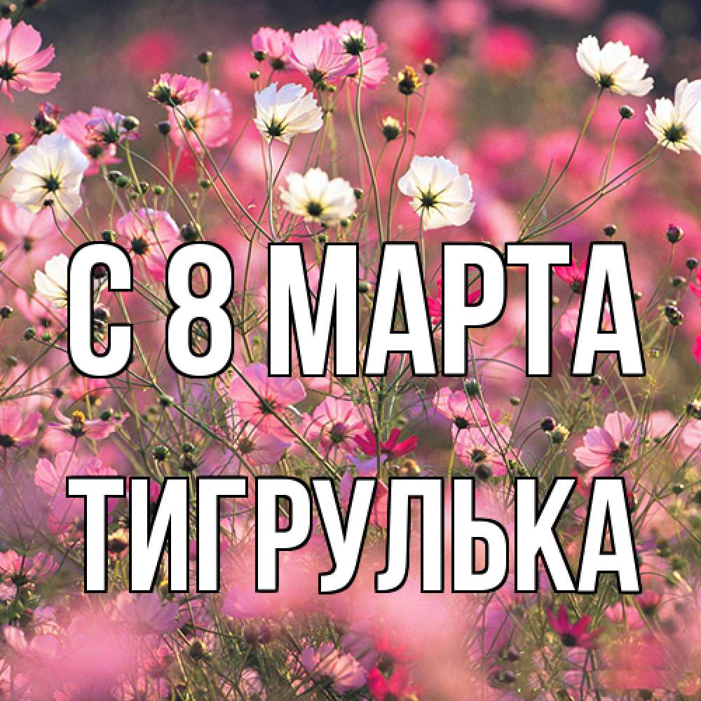 Открытка на каждый день с именем, тигрулька C 8 МАРТА красиво 1 Прикольная открытка с пожеланием онлайн скачать бесплатно 