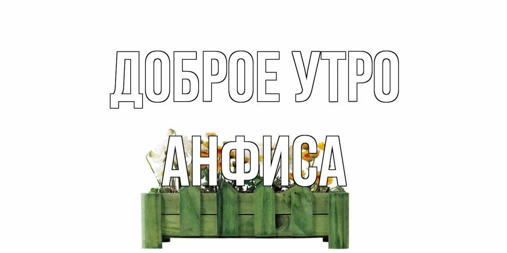 Открытка на каждый день с именем, Анфиса Доброе утро цветы Прикольная открытка с пожеланием онлайн скачать бесплатно 