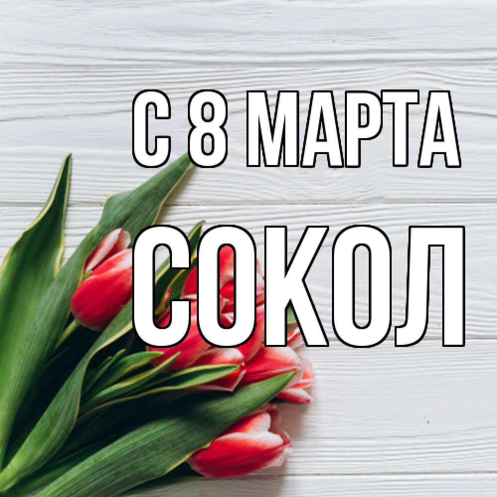 Открытка на каждый день с именем, Сокол C 8 МАРТА весна 2 Прикольная открытка с пожеланием онлайн скачать бесплатно 