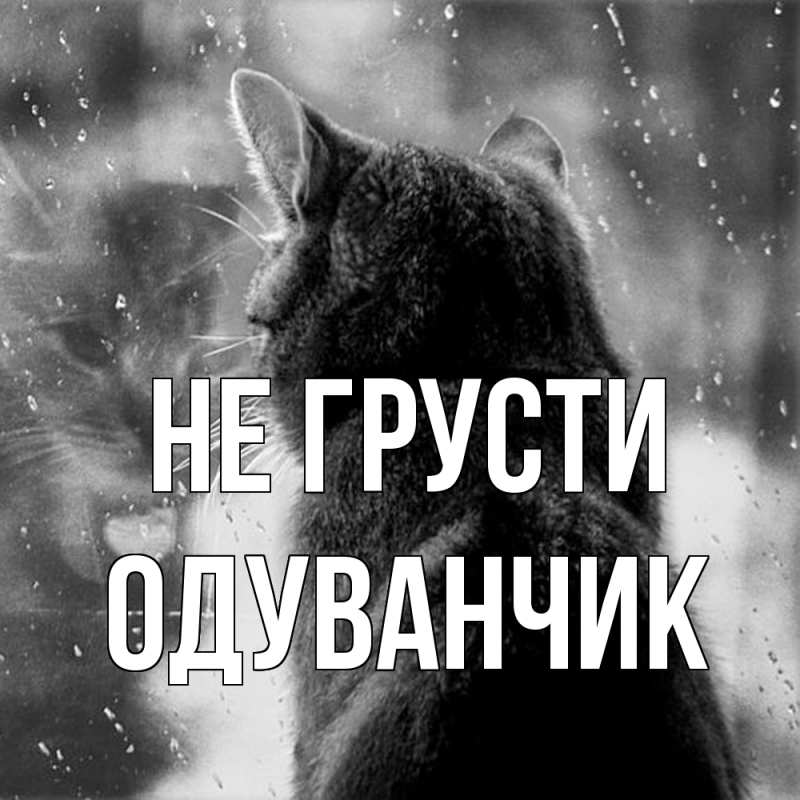 Картинка Не грусти, Одуванчик