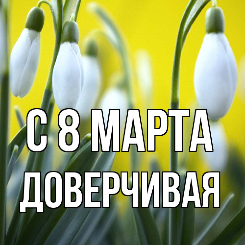 Открытка на каждый день с именем, Доверчивая C 8 МАРТА весенние цветы Прикольная открытка с пожеланием онлайн скачать бесплатно 