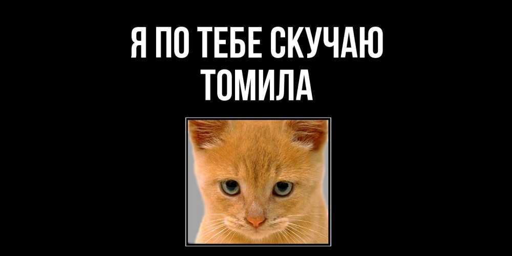 Открытка на каждый день с именем, Томила Я по тебе скучаю открытки рыжий котенок скучает по тебе Прикольная открытка с пожеланием онлайн скачать бесплатно 