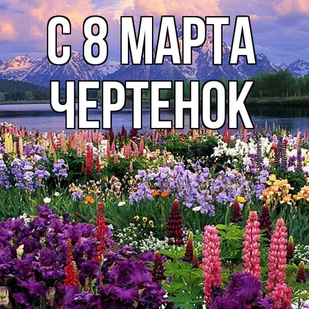 Открытка на каждый день с именем, чеpтенок C 8 МАРТА международный женский день Прикольная открытка с пожеланием онлайн скачать бесплатно 