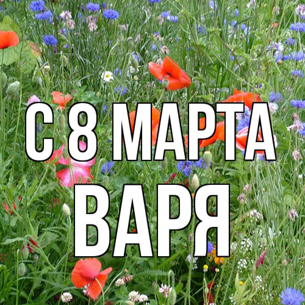 Открытка на каждый день с именем, Варя C 8 МАРТА международный женский день 4 Прикольная открытка с пожеланием онлайн скачать бесплатно 