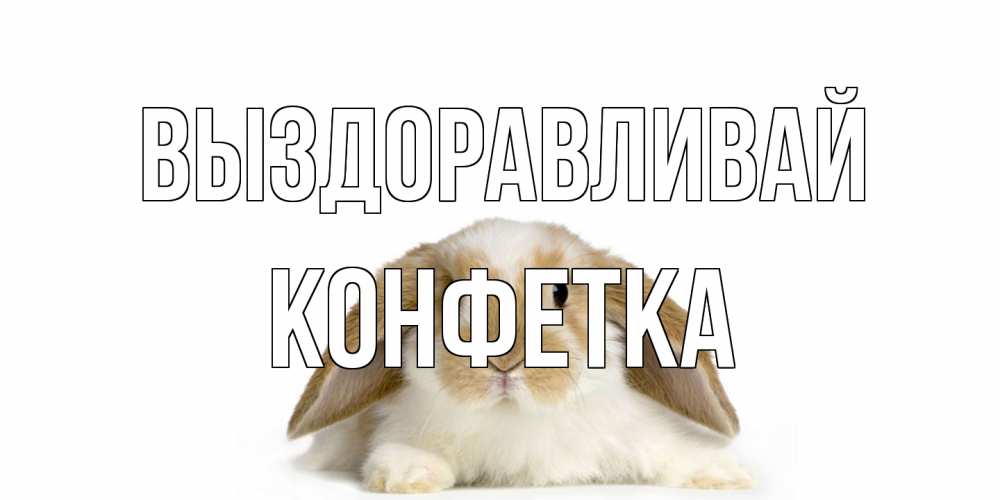 Открытка на каждый день с именем, Конфетка Выздоравливай вислоухий кролик белого и коричневого цвета Прикольная открытка с пожеланием онлайн скачать бесплатно 