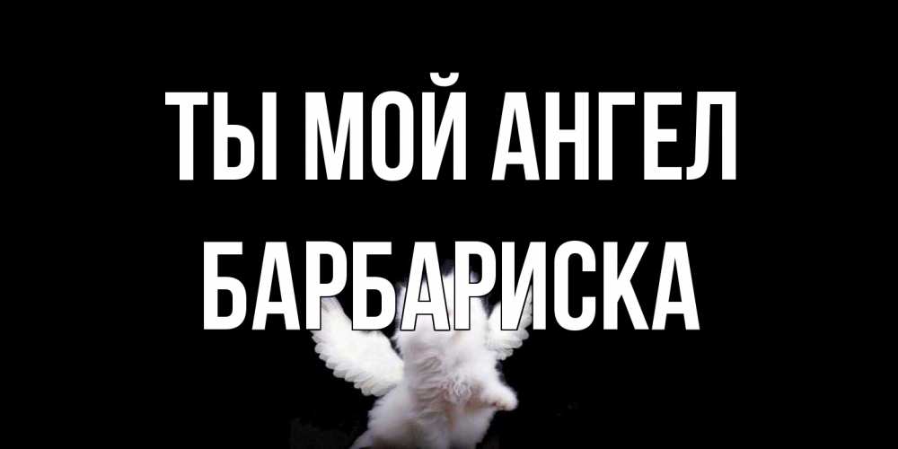 Открытка на каждый день с именем, барбариска Ты мой ангел Кот ангел Прикольная открытка с пожеланием онлайн скачать бесплатно 