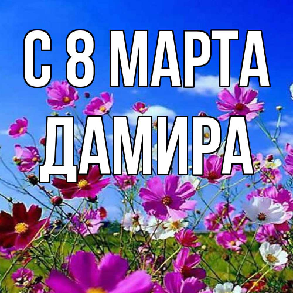 Открытка на каждый день с именем, Дамира C 8 МАРТА цветы Прикольная открытка с пожеланием онлайн скачать бесплатно 