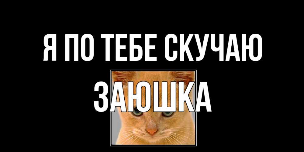 Открытка на каждый день с именем, Заюшка Я по тебе скучаю открытки рыжий котенок скучает по тебе Прикольная открытка с пожеланием онлайн скачать бесплатно 