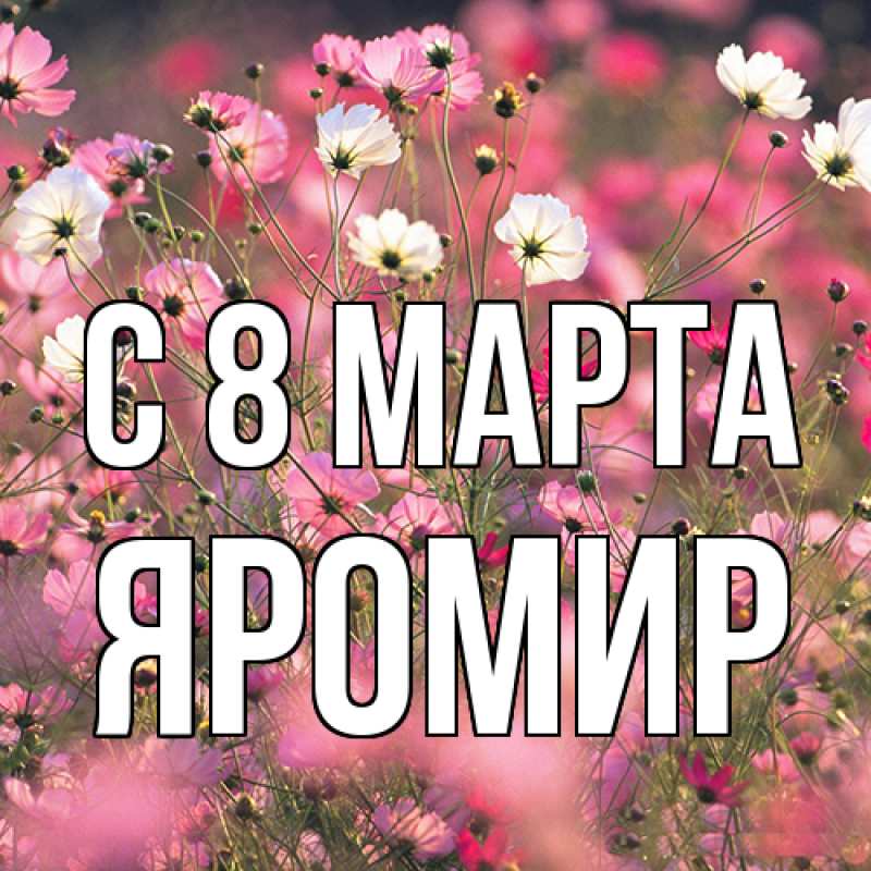 Картинка C 8 МАРТА, Яромир
