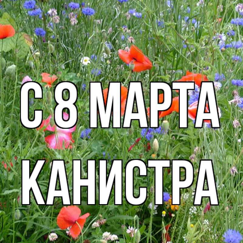 Картинка C 8 МАРТА, Канистра