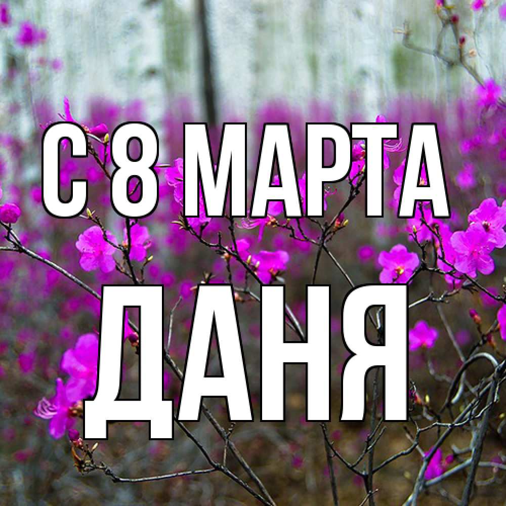 Открытка на каждый день с именем, Даня C 8 МАРТА дикие цветы Прикольная открытка с пожеланием онлайн скачать бесплатно 