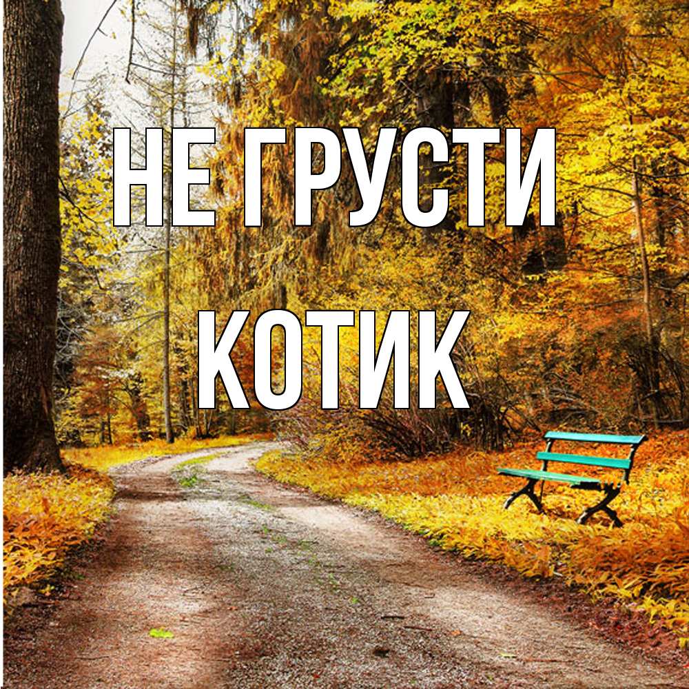 Открытка на каждый день с именем, Котик Не грусти зеленая лавочка Прикольная открытка с пожеланием онлайн скачать бесплатно 