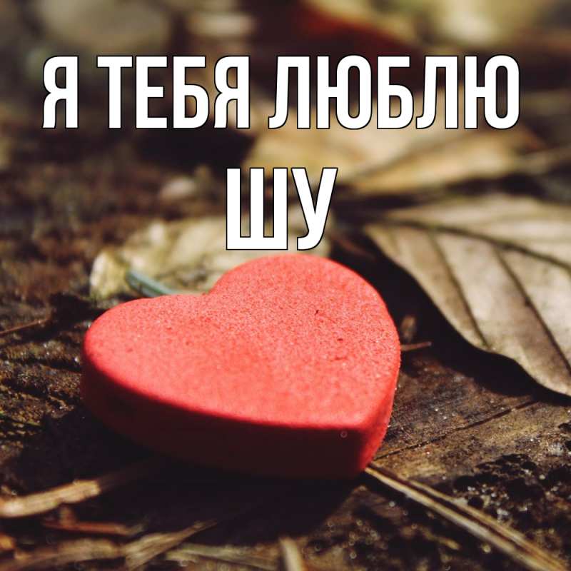 Картинка Я тебя люблю, Шу