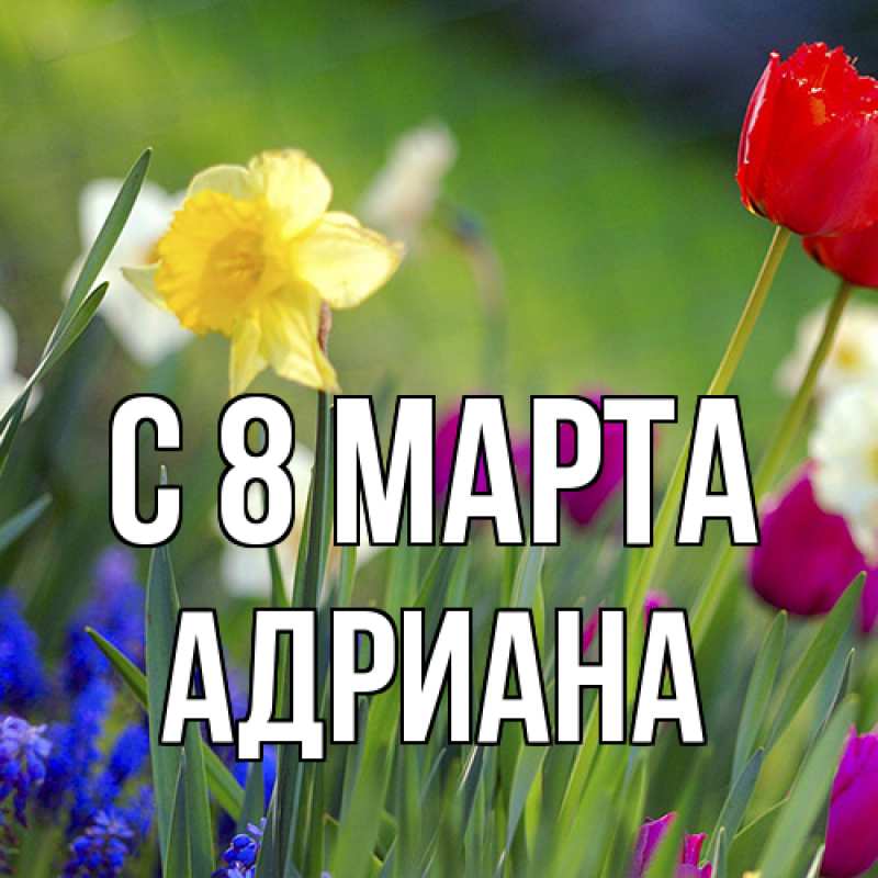 Картинка C 8 МАРТА, Адриана