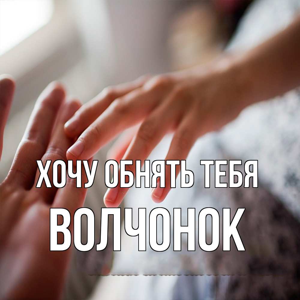 Открытка на каждый день с именем, Волчонок Хочу обнять тебя прикосновение Прикольная открытка с пожеланием онлайн скачать бесплатно 