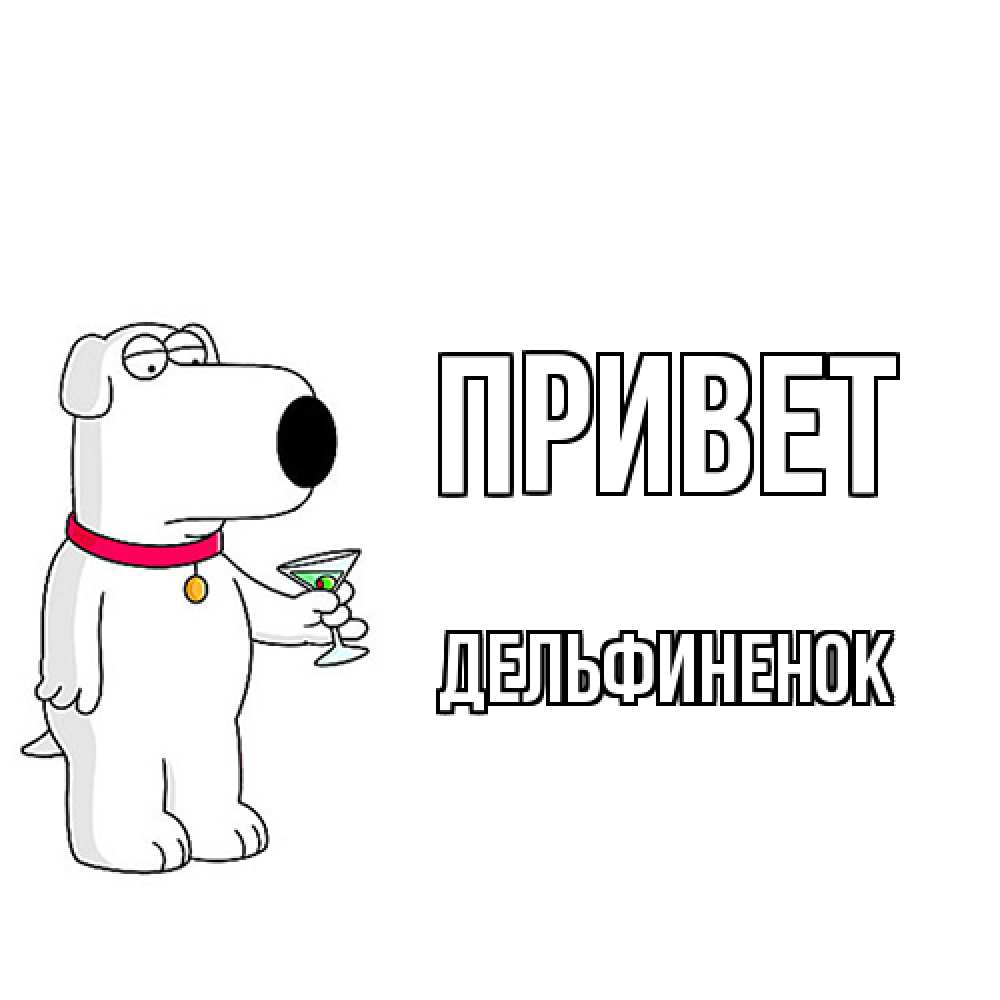 Открытка на каждый день с именем, дельфиненок Привет собака и коктейль Прикольная открытка с пожеланием онлайн скачать бесплатно 