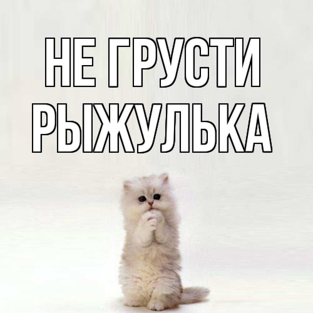 Открытка на каждый день с именем, рыжулька Не грусти грустный кот Прикольная открытка с пожеланием онлайн скачать бесплатно 