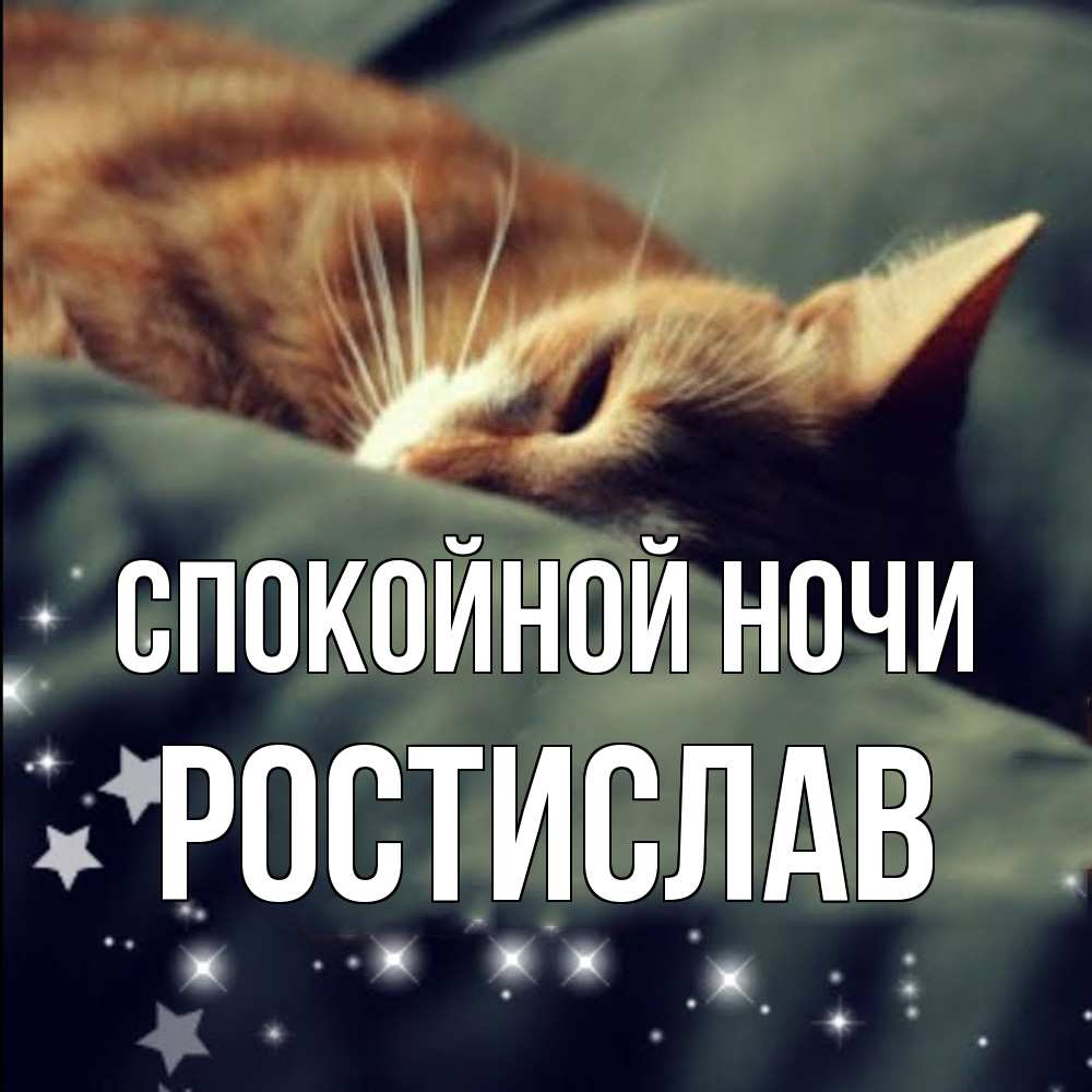 Открытка на каждый день с именем, Ростислав Спокойной ночи кроватка Прикольная открытка с пожеланием онлайн скачать бесплатно 