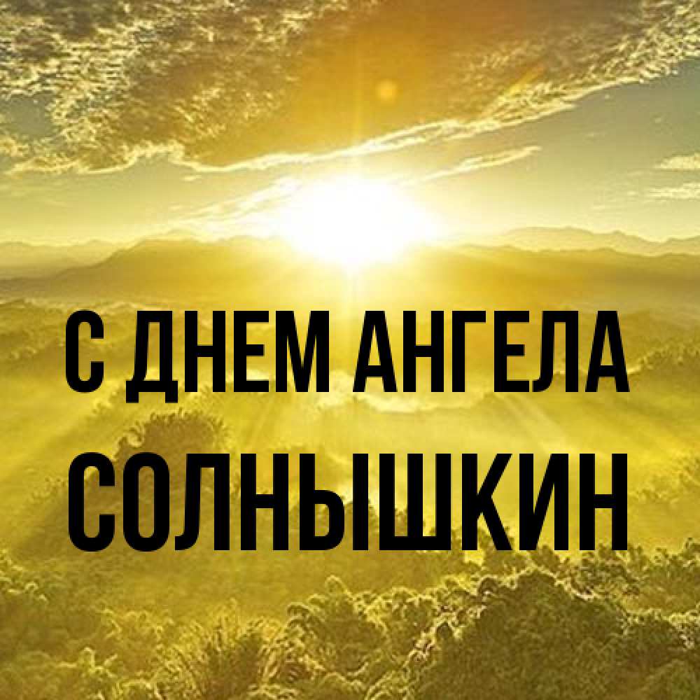 Открытка на каждый день с именем, Солнышкин С днем ангела леса и небо в желтом Прикольная открытка с пожеланием онлайн скачать бесплатно 