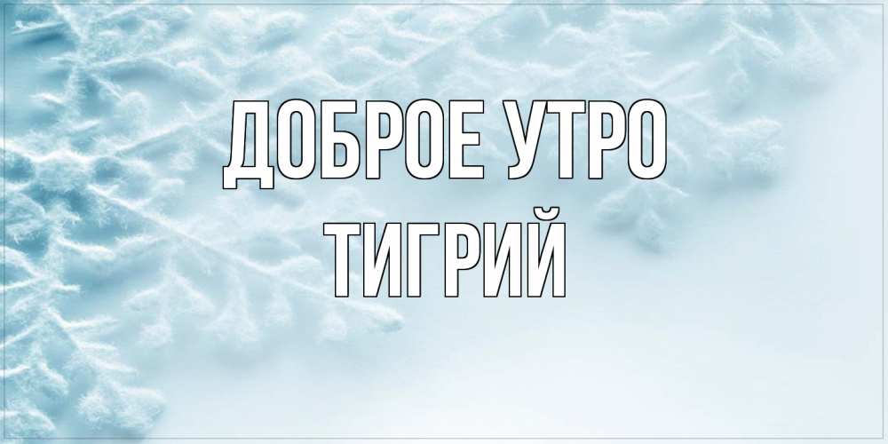 Открытка на каждый день с именем, Тигрий Доброе утро классное зимнее утро Прикольная открытка с пожеланием онлайн скачать бесплатно 