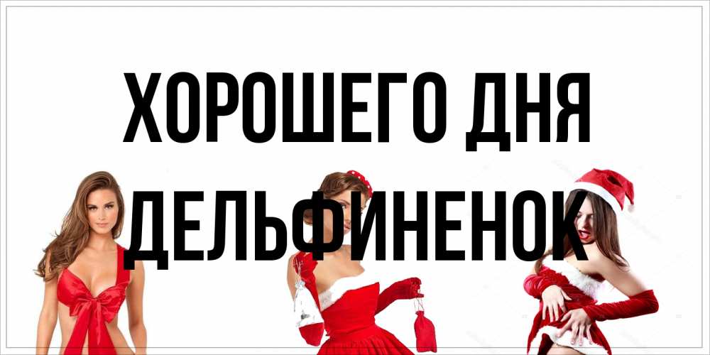 Открытка на каждый день с именем, дельфиненок Хорошего дня пожелай парню отличного дня Прикольная открытка с пожеланием онлайн скачать бесплатно 
