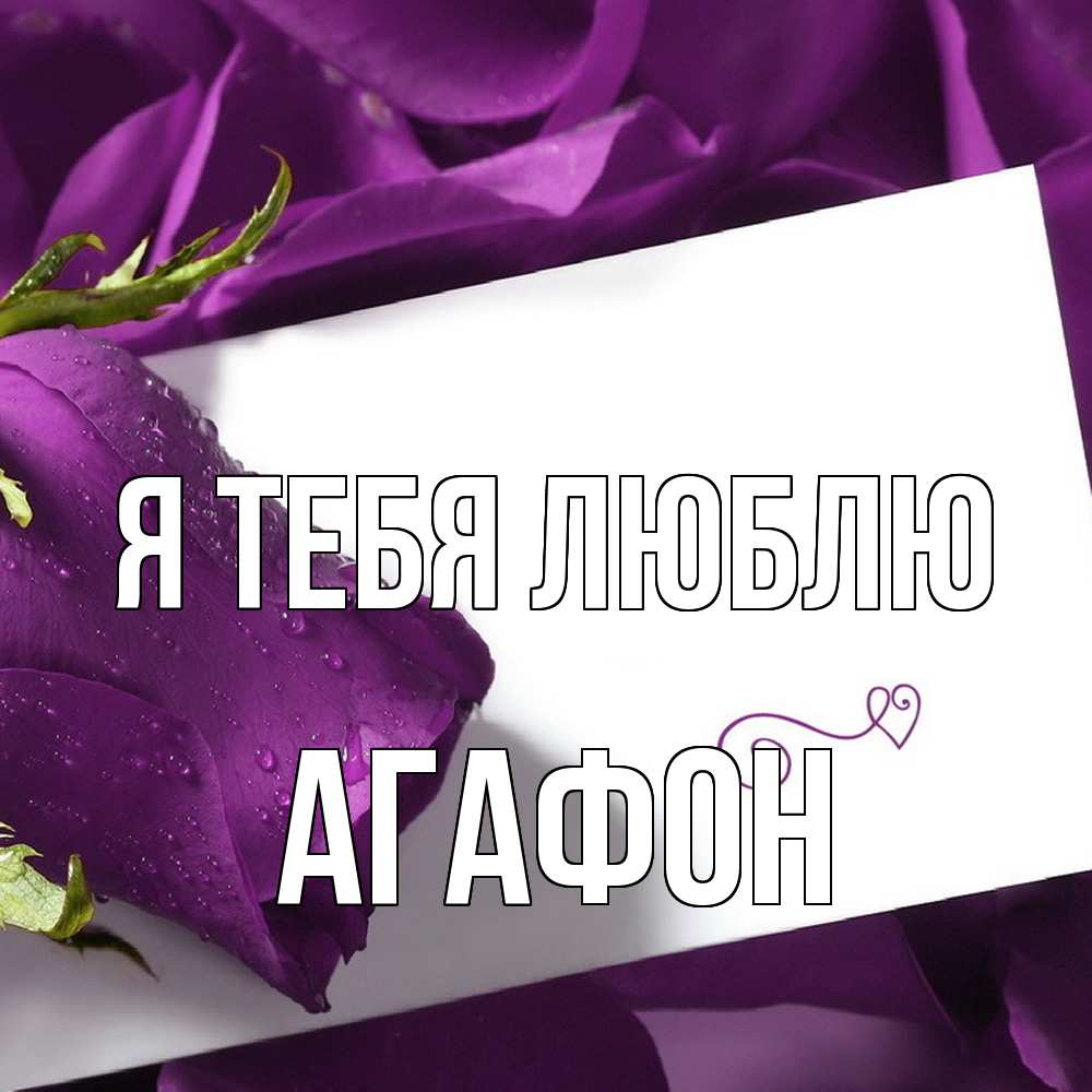 Открытка на каждый день с именем, Агафон Я тебя люблю роза Прикольная открытка с пожеланием онлайн скачать бесплатно 
